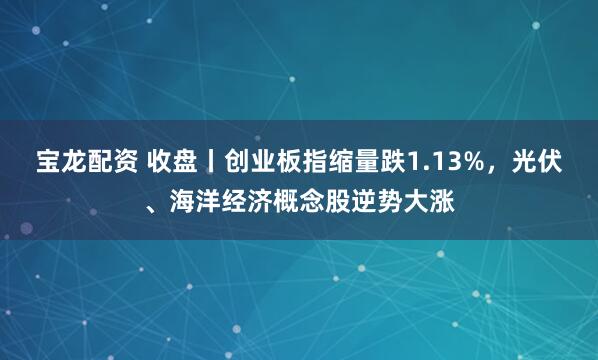 宝龙配资 收盘丨创业板指缩量跌1.13%，光伏、海洋经济概念股逆势大涨