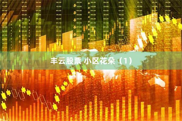 丰云股票 小区花朵（1）