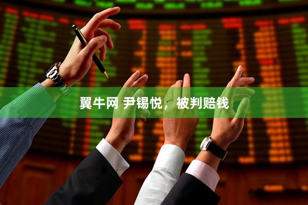 翼牛网 尹锡悦，被判赔钱