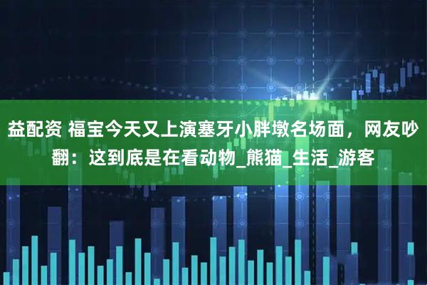 益配资 福宝今天又上演塞牙小胖墩名场面，网友吵翻：这到底是在看动物_熊猫_生活_游客